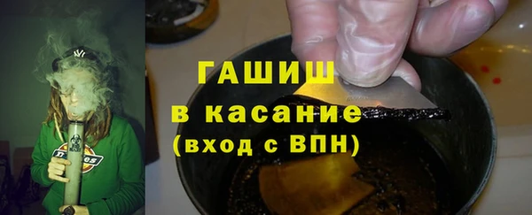 индика Новочеркасск