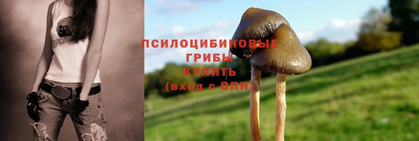 2c-b Коряжма