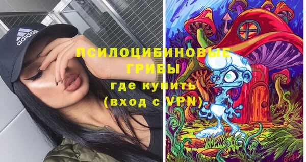 соль ск Костерёво