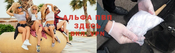 индика Новочеркасск